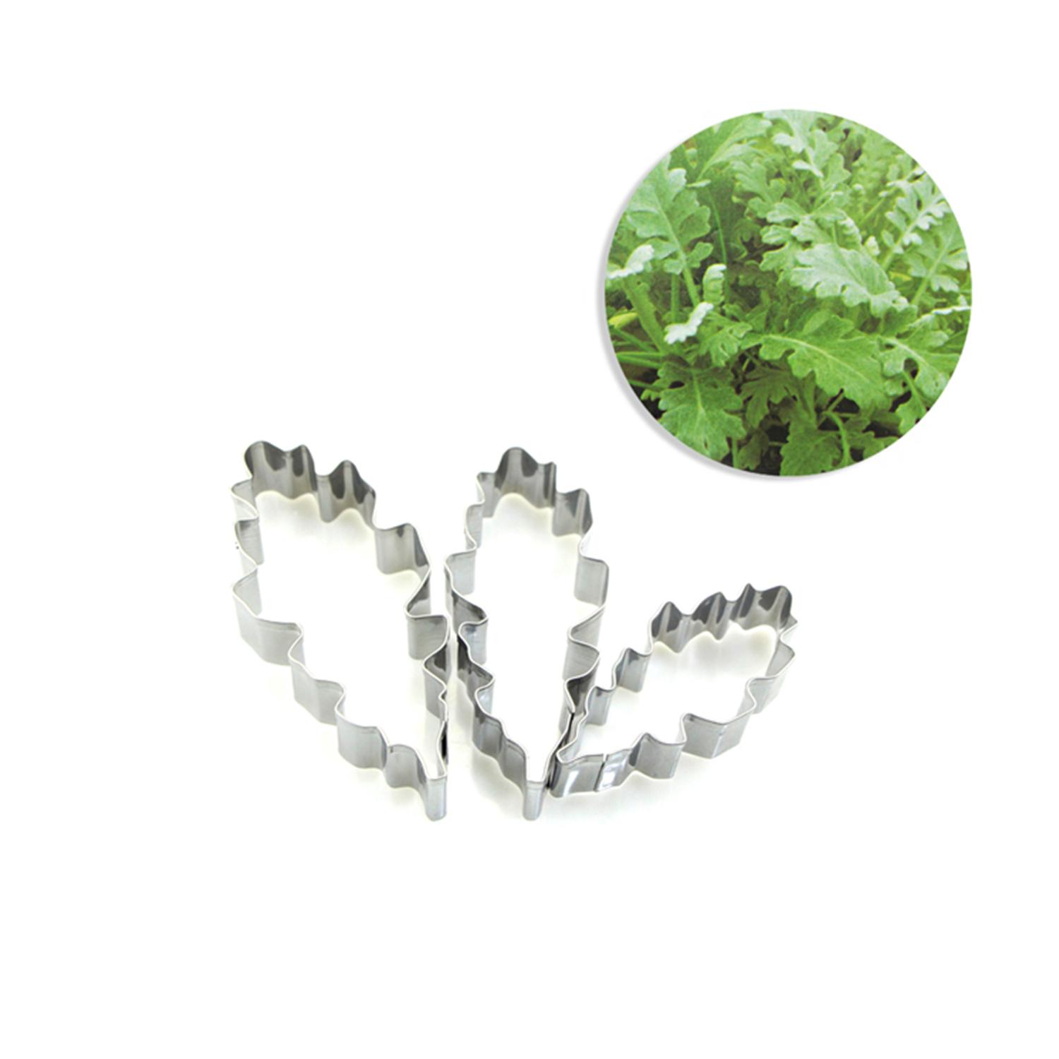 A333 3PCS STAINLESS STEEL SENECIO CINERARIA LEAF CUTTER