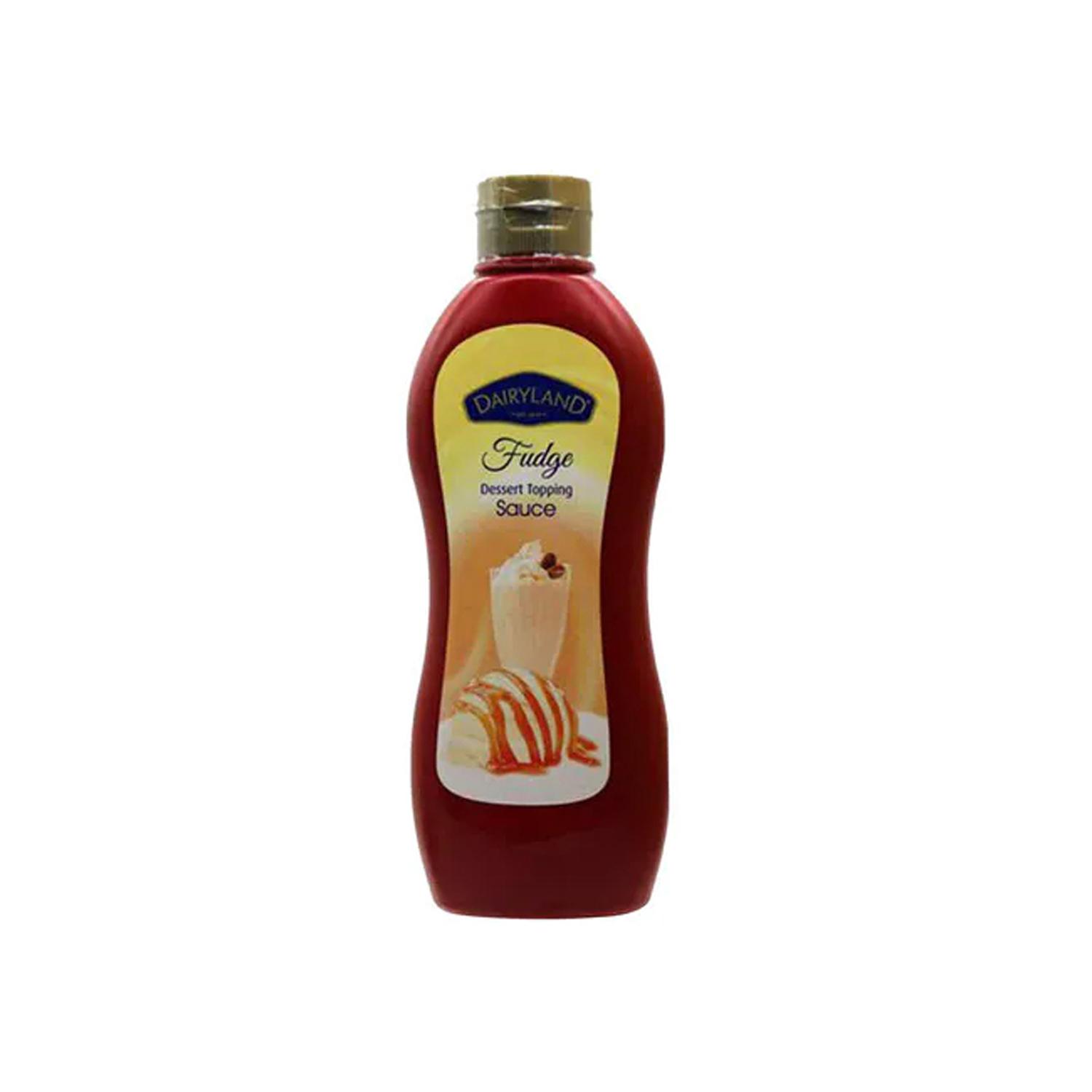 DAIRYLAND FUDGE SAUCE 650GMS