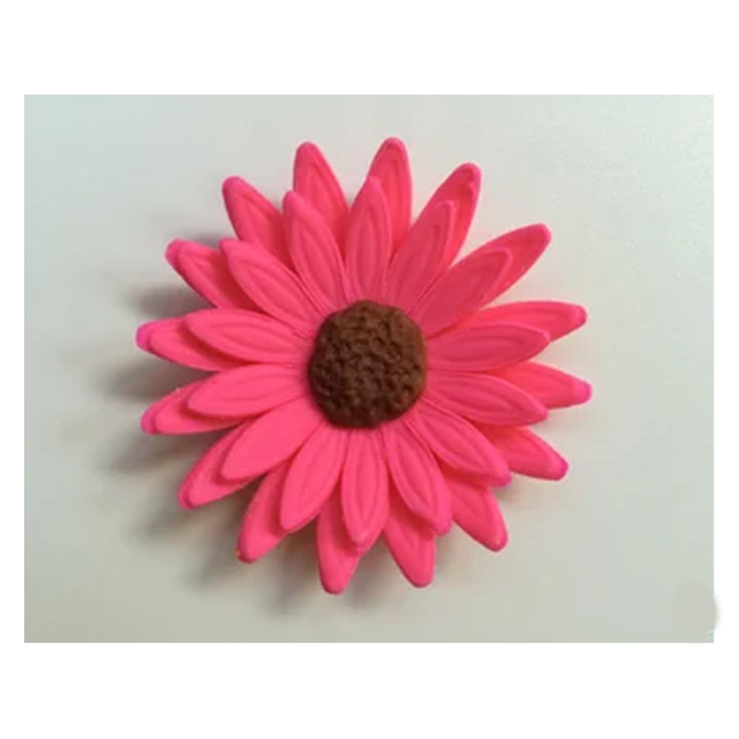 HOT PINK DAISY FLOWERS