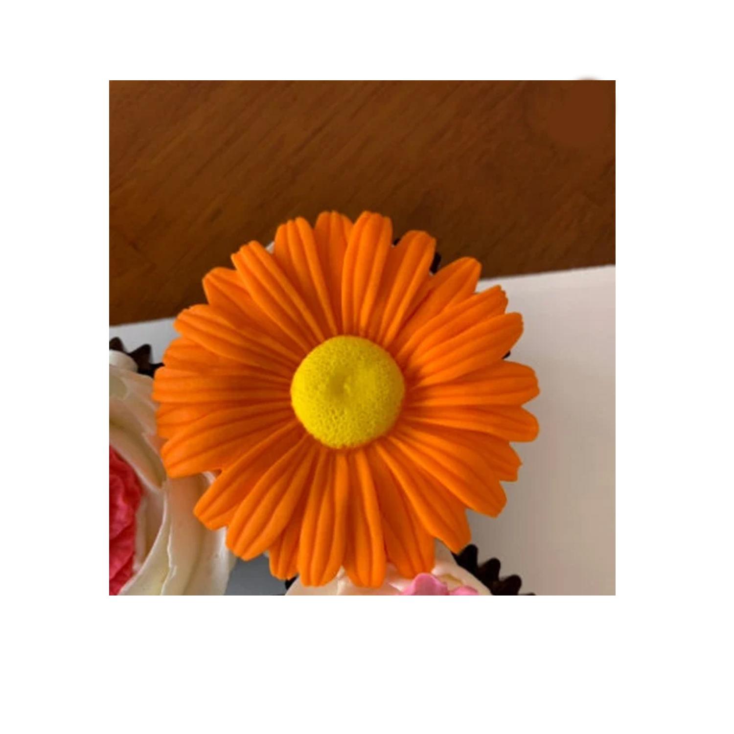 ORANGE DAISY FLOWERS