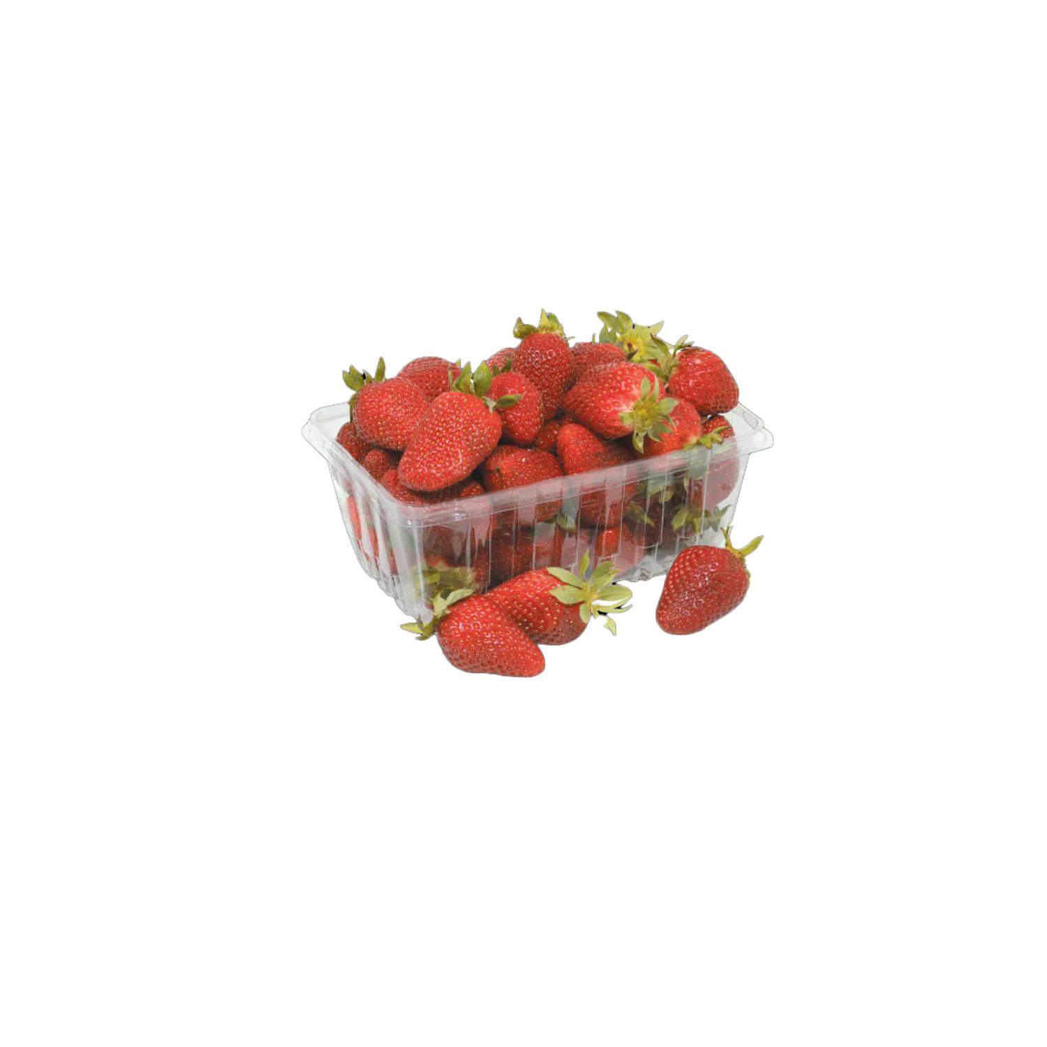 ORGANIC FRESH STRAWBERRY BIG