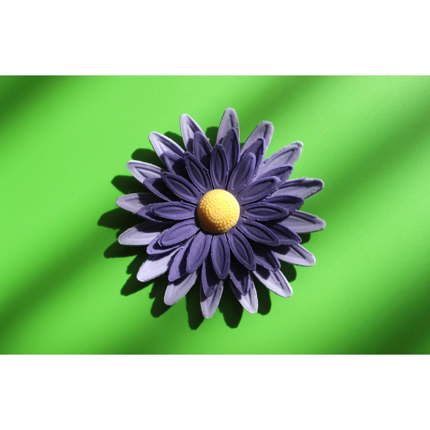 PURPLE DAISY FLOWERS