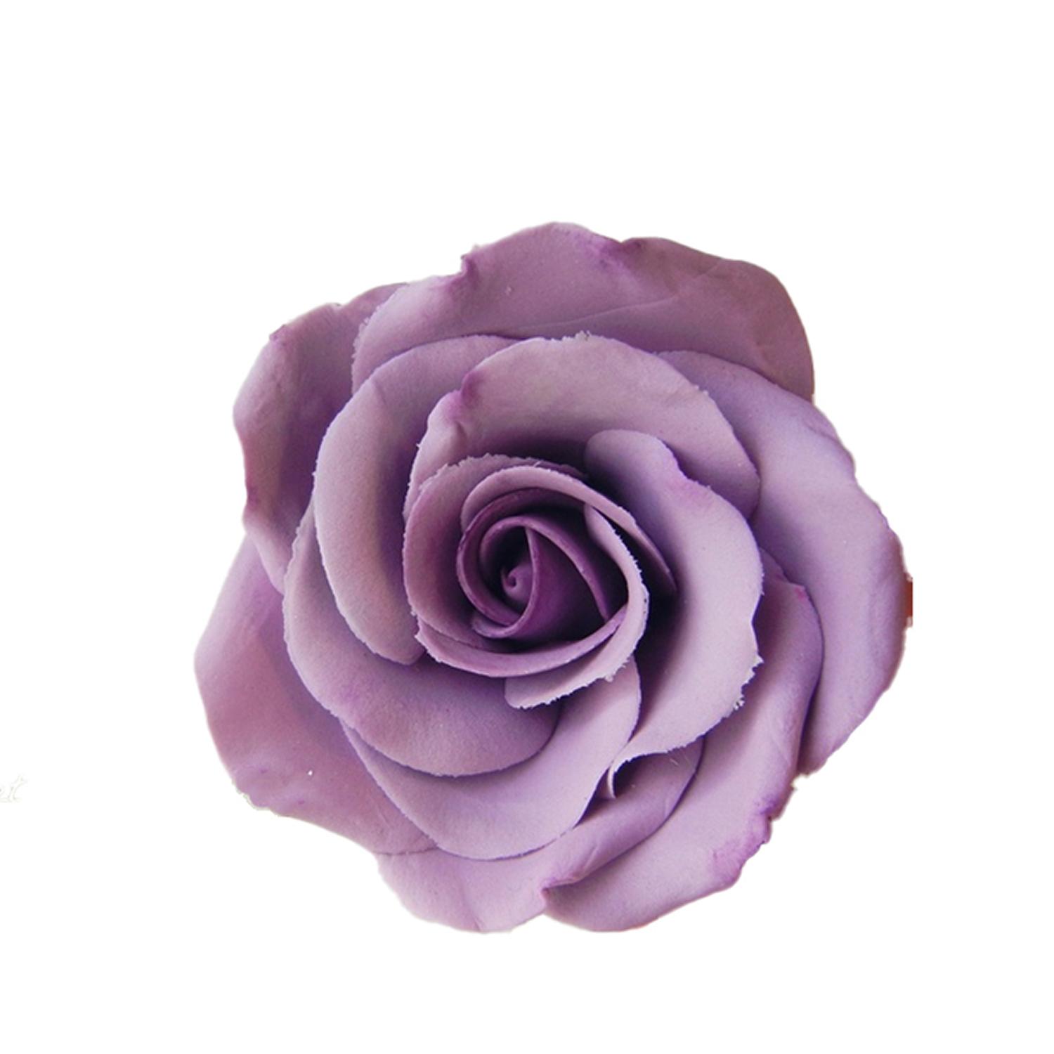 PURPLE SUGAR LARGE ROSE FLOWER WHITE