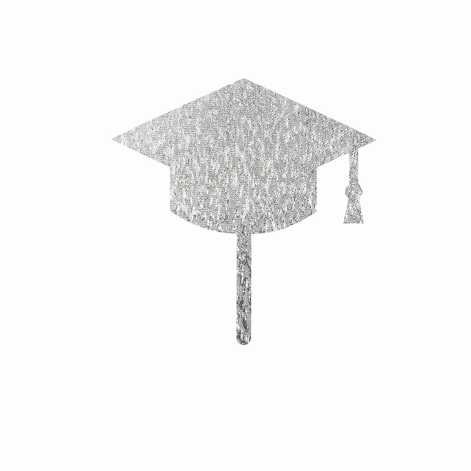 SILVER GLITTER GRADUATION TOPPER NO 06