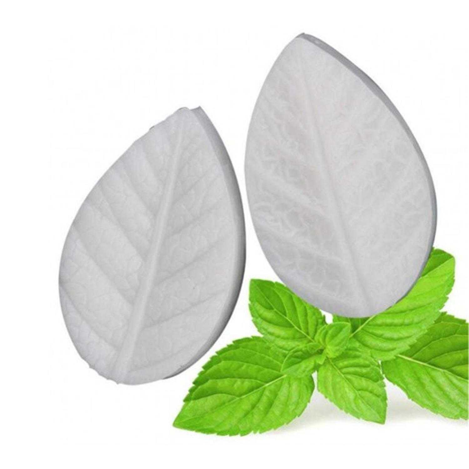 SVM0052 CARUNKE GARDENIA LEAF LINES VEINER