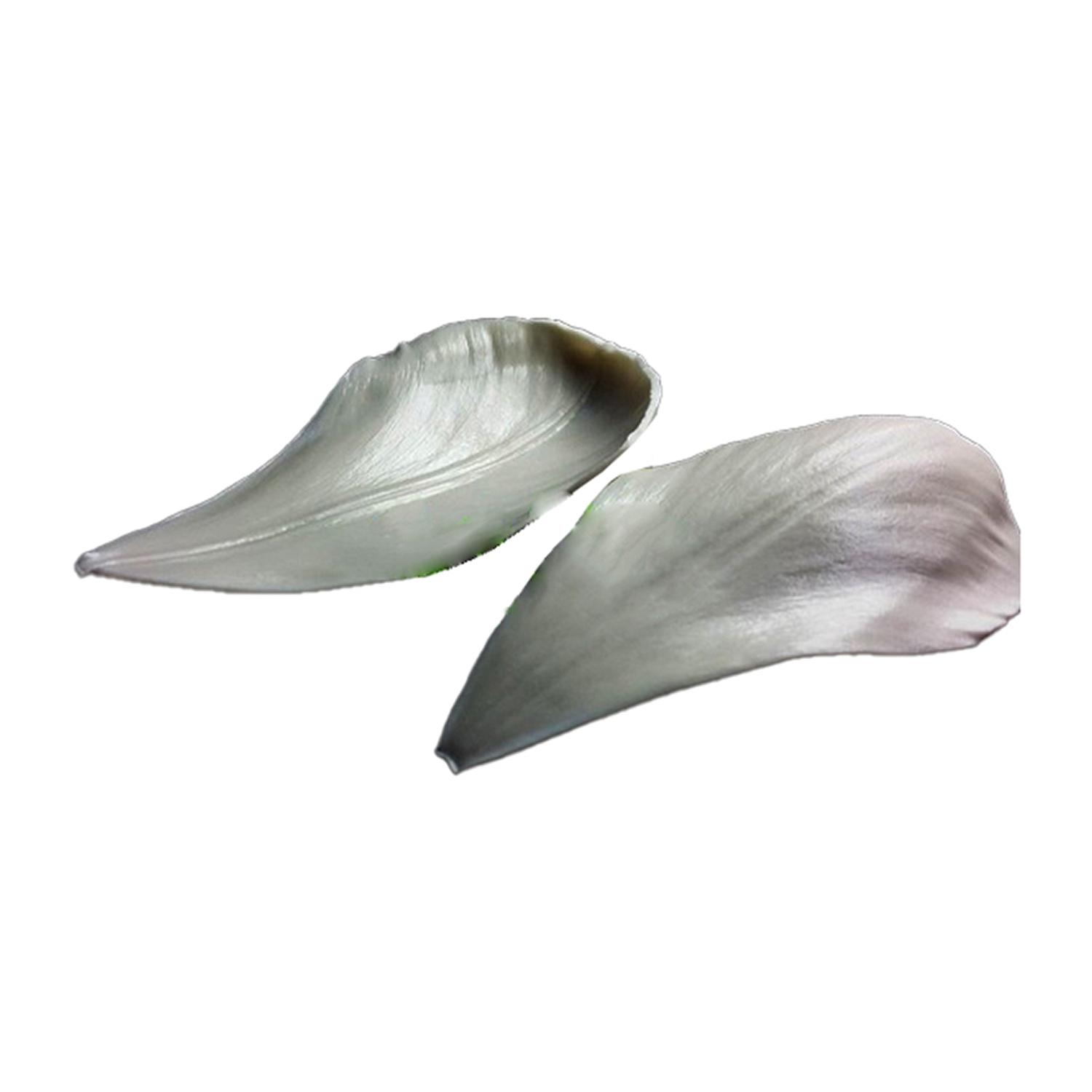 SVM0098 LARGE TULIP LEAF VEINER